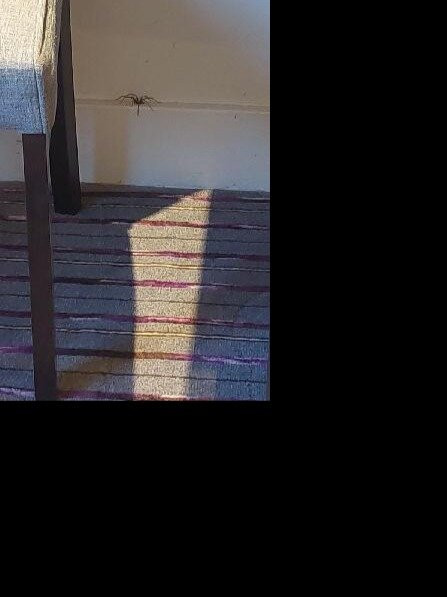 普雷米尔酒店莱斯特中央 - A50主图