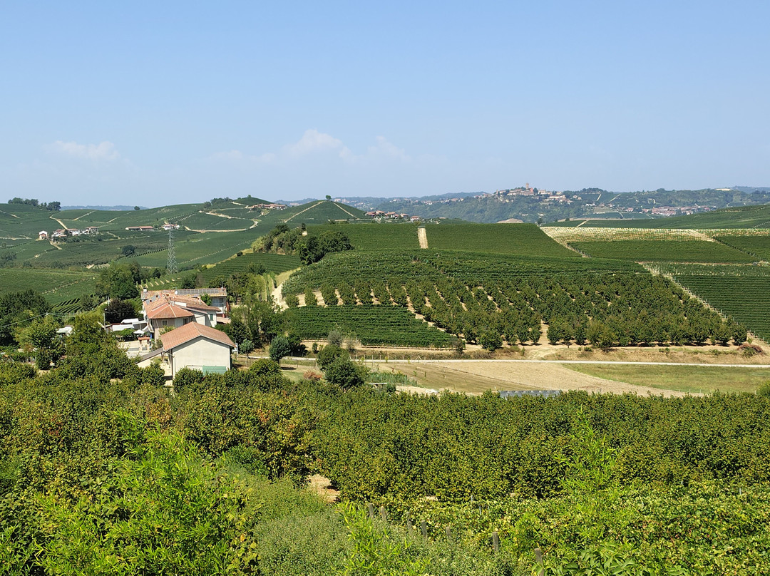 Il Vigneto Di Roddi主图