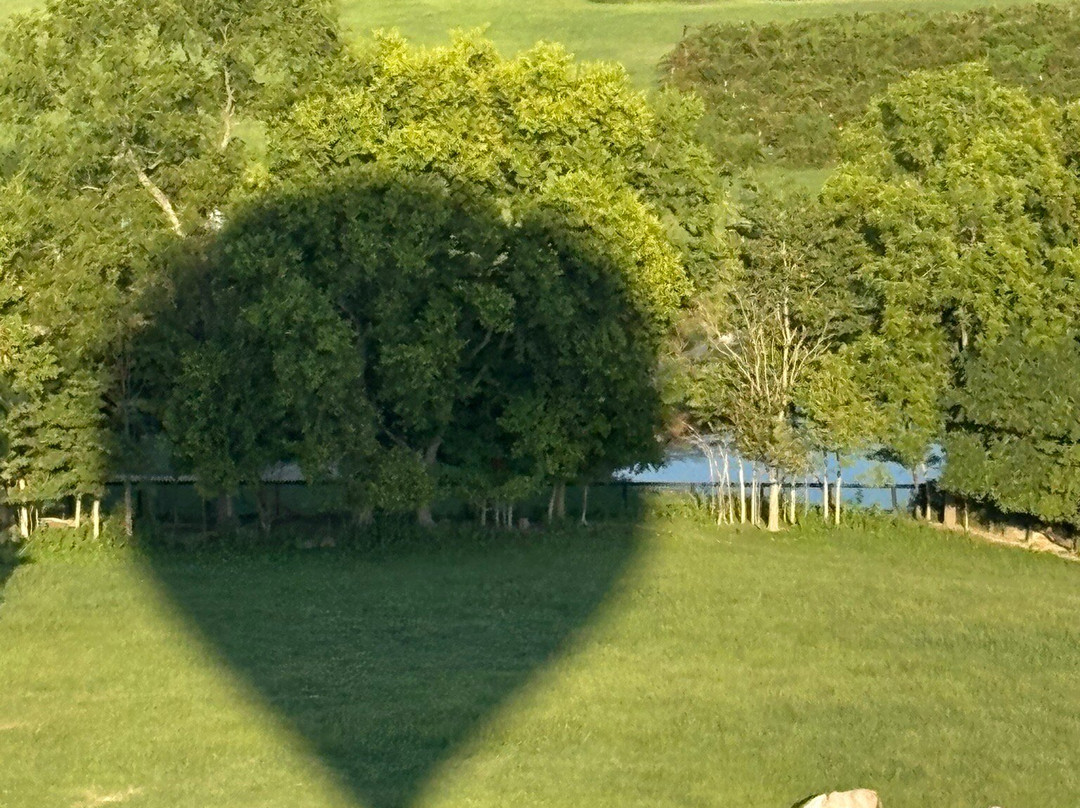 SkyCab Balloon Promotions, Inc.-路易斯维尔必去景点