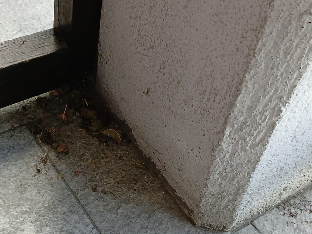 Hotel Bucaneve主图