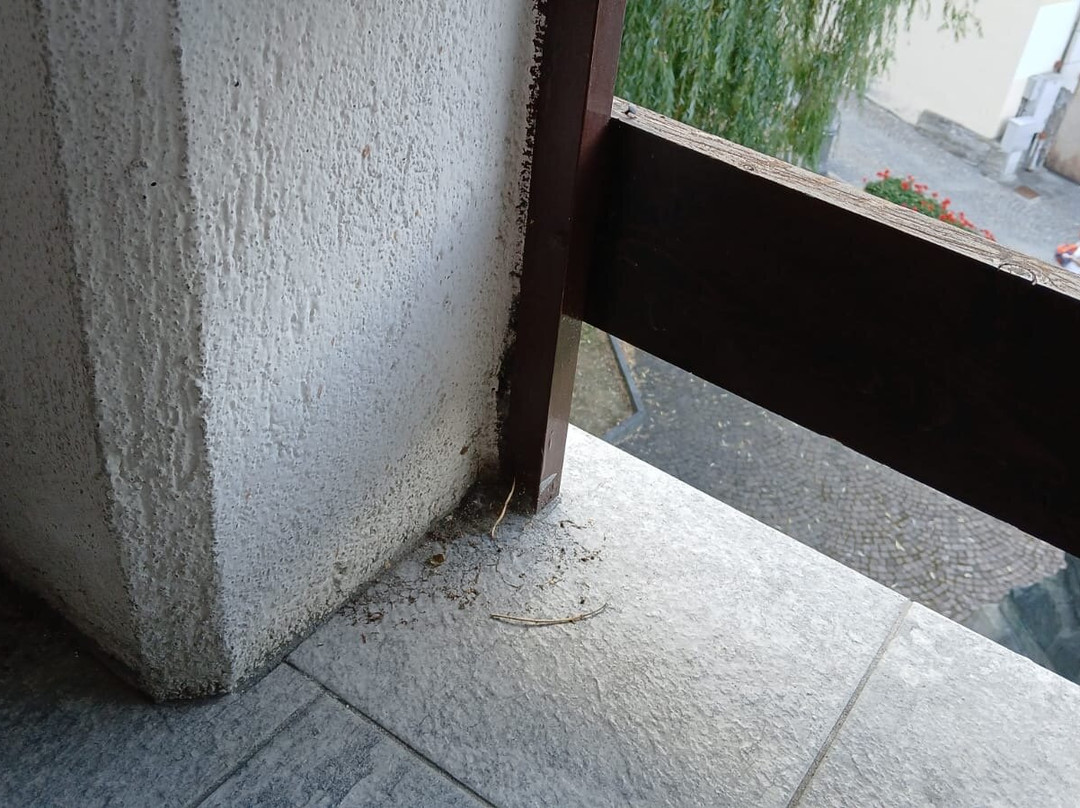 Hotel Bucaneve主图