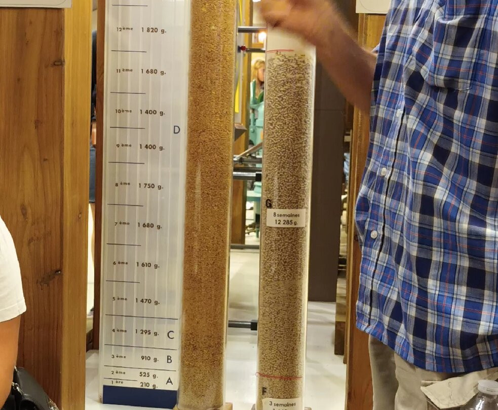 Musée du Foie Gras-Frespech必去景点