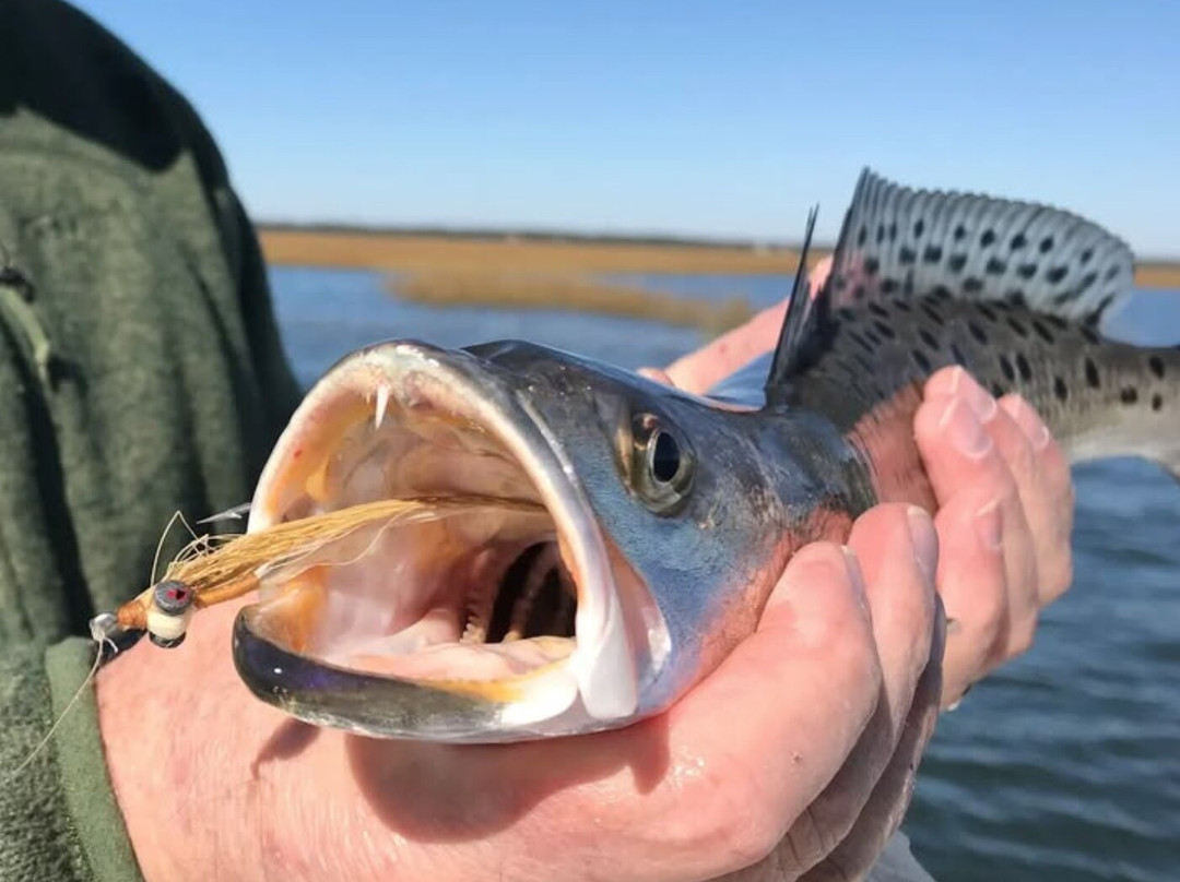 Tall Tide Fishing Adventures-查尔斯顿必去景点