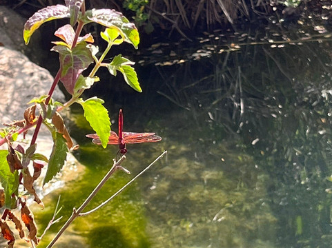 Laghetti di Cavagrande-锡拉库扎必去景点