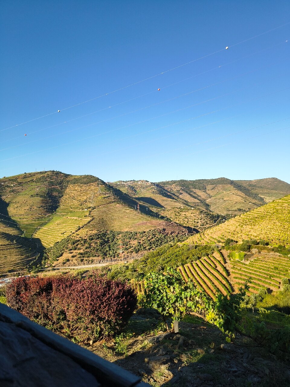 Quinta de Casaldronho Wine Hotel-官方