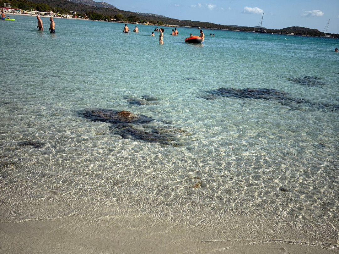 Spiaggia Di Portisco-Portisco必去景点