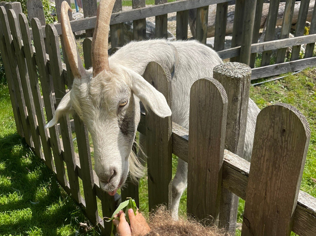 Gasthof Seeblick主图