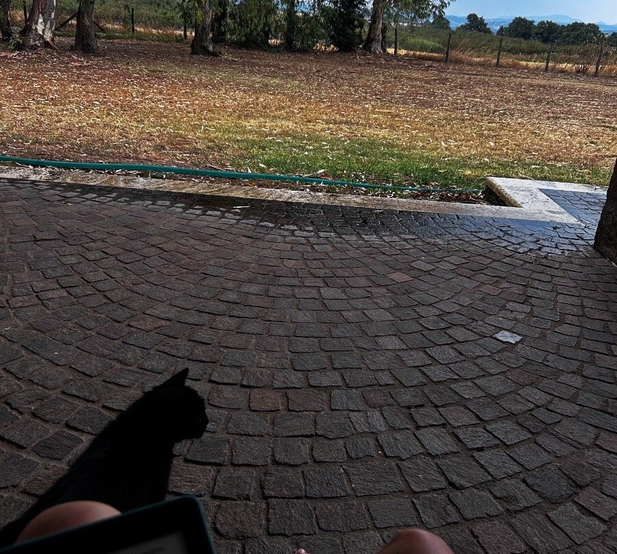 Fattoria Lucciano主图