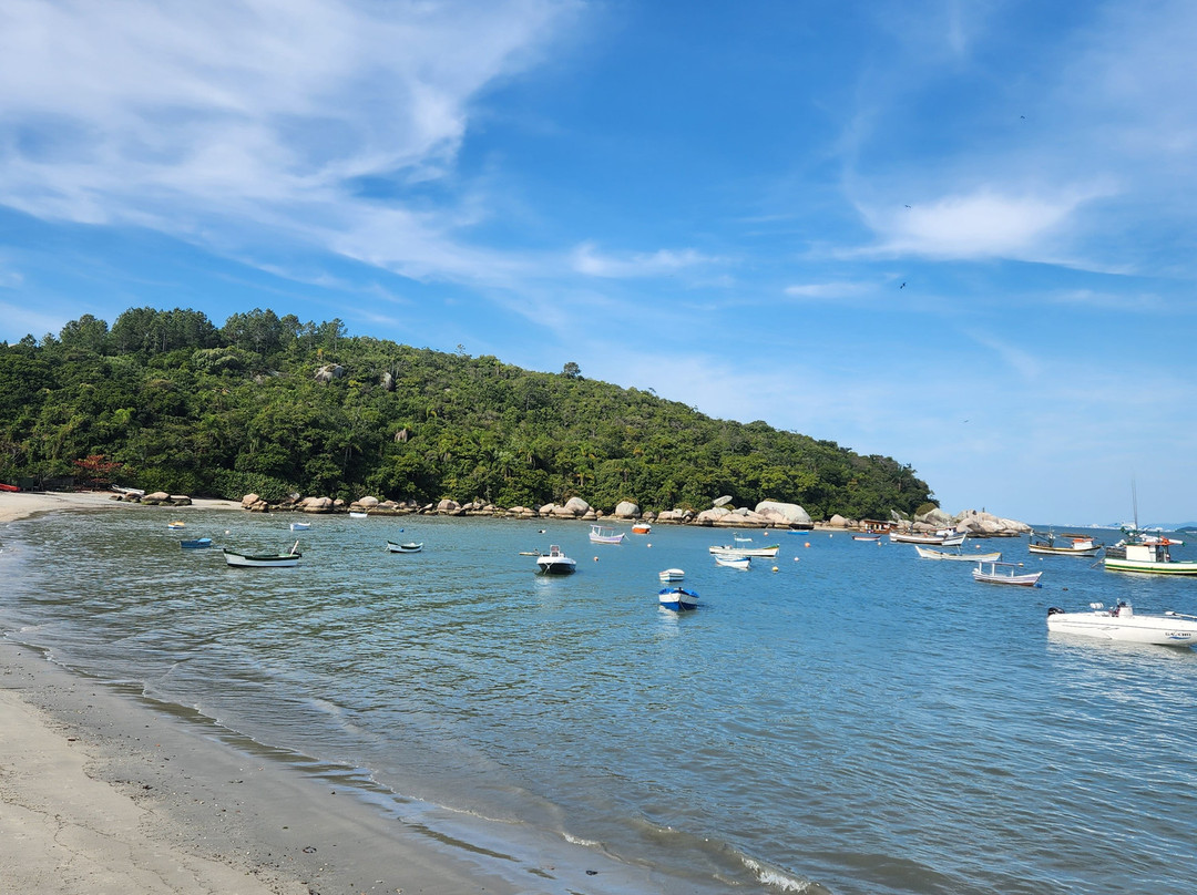 Praia da Armação da Piedade-Governador Celso Ramos必去景点