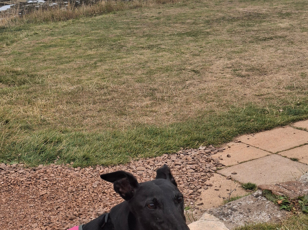 Winterfield Golf Club-Dunbar必去景点