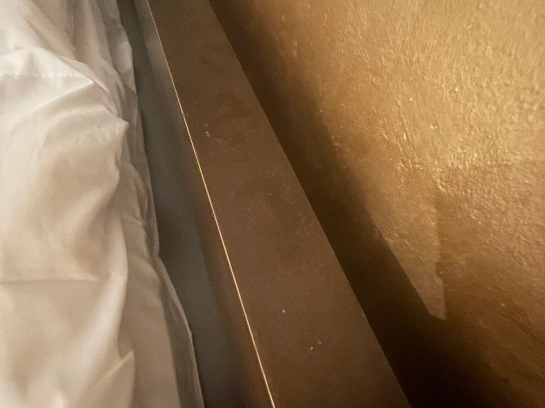 L'Aldea Sonada Del Angliru主图