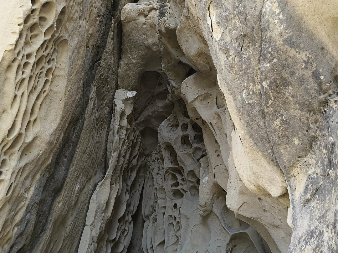 Grotte Di Soprasasso-Vergato必去景点