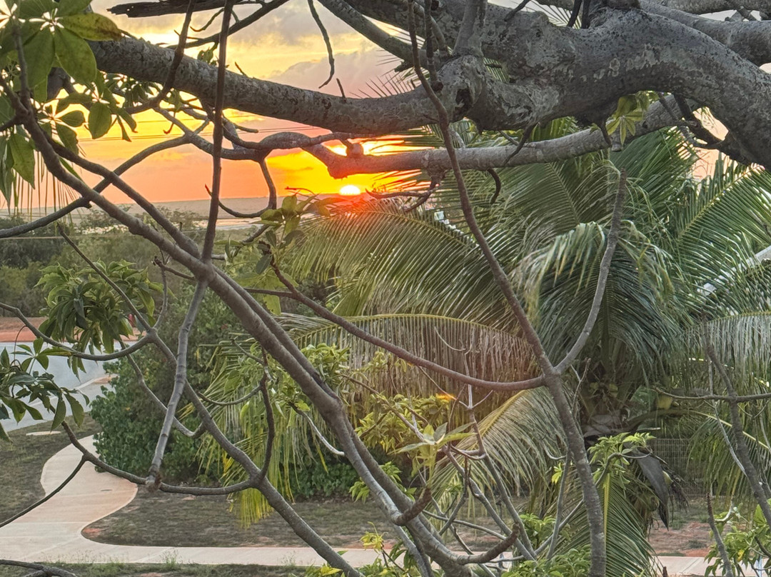 布鲁姆盛橡酒店主图