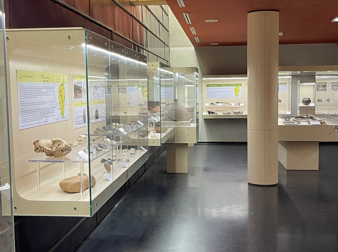 Musee Prehistorique-Sartene必去景点