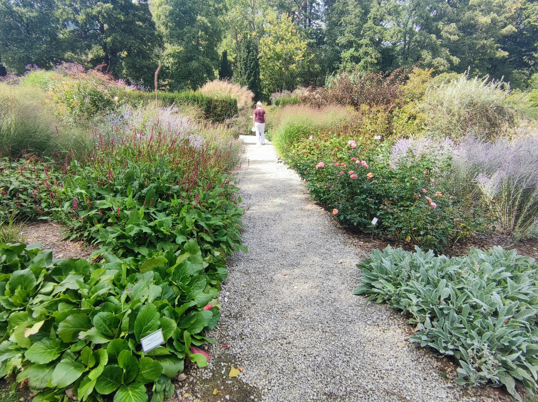 Botanical Garden Of University Of Maribor-马里博尔必去景点