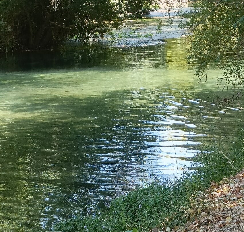 Praia Fluvial dos Olhos d'Agua-Alcanena必去景点