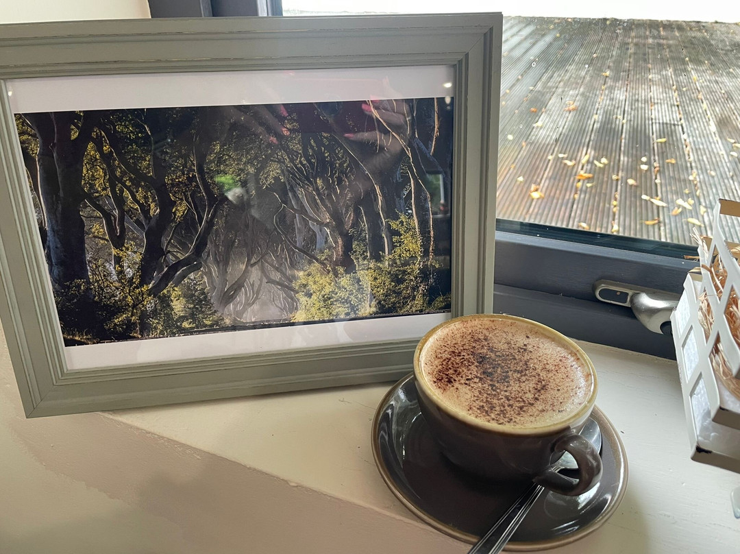 The Pantry At The Dark Hedges