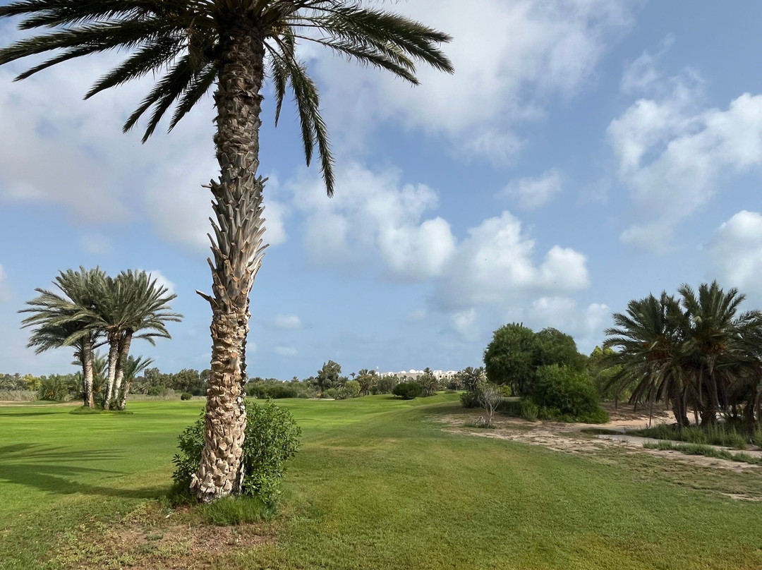 Djerba Golf Club-米栋必去景点