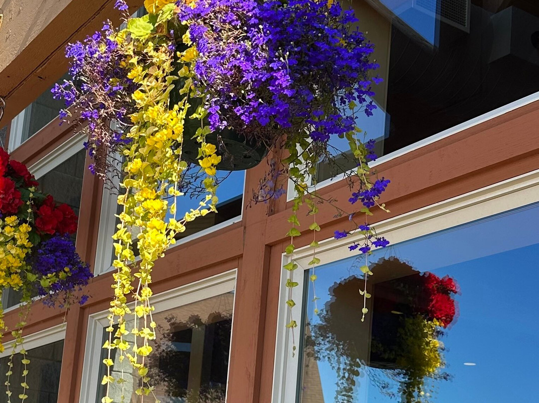 Talkeetna, Alaska-塔尔基特纳必去景点