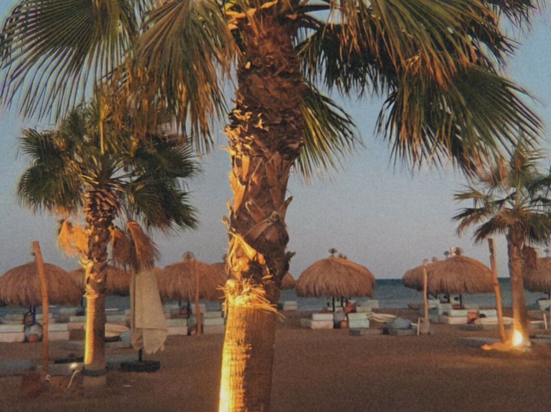 Zouni Beach Club-艾高娜必去景点