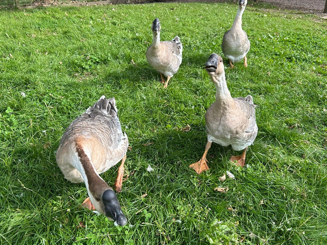 The Castle & Gardens of Mey-Thurso必去景点