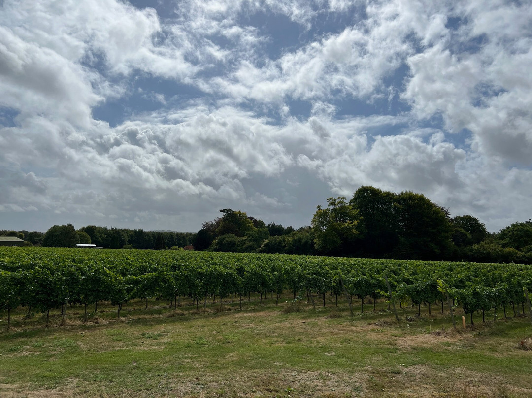 Bluestone Vineyards-索尔兹伯里必去景点