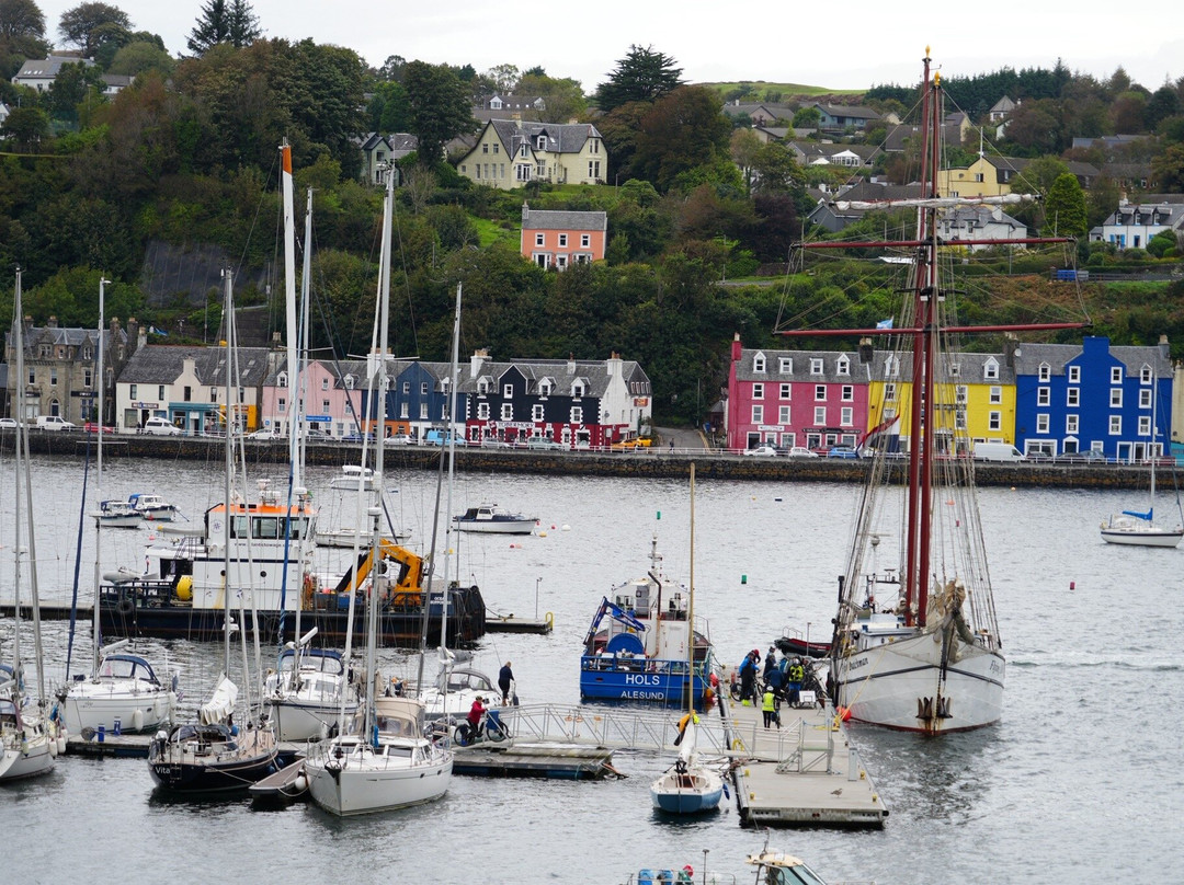 Mull Magic Wildlife - Day Tours-Tobermory必去景点