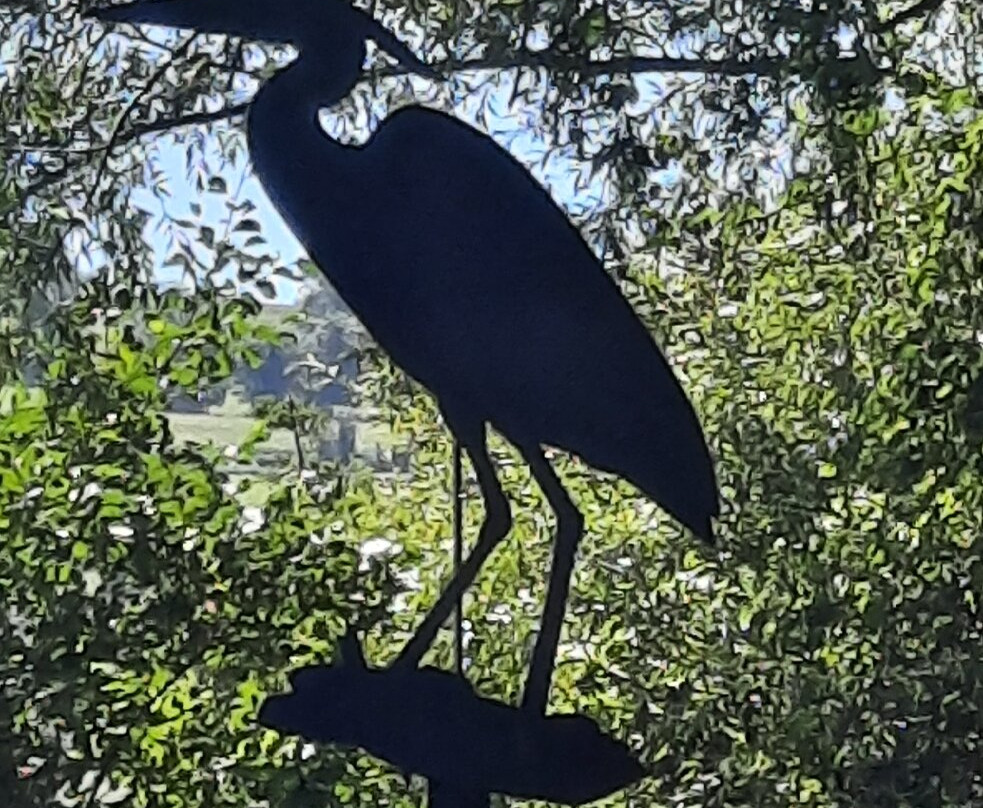 Chemin Des Marais De La Véronnière Et Du Courbon-Paladru必去景点