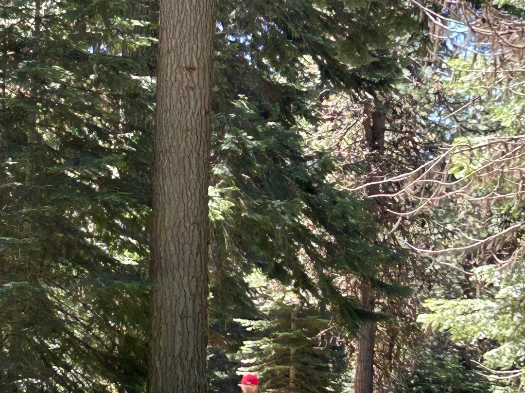 Hyatt Lake Recreation Area-阿什兰必去景点