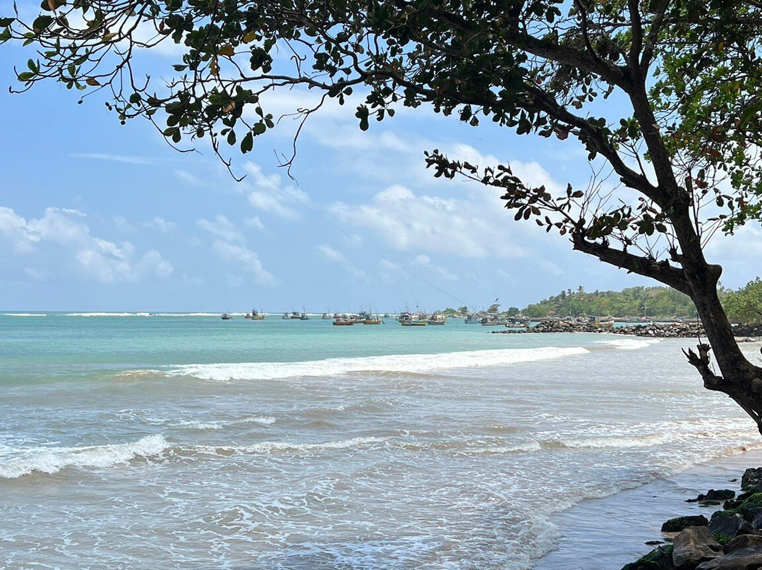 Diving Tours Mirissa-美蕊沙必去景点