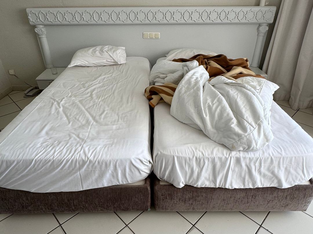 莫拉蒂棕榈码头酒店主图