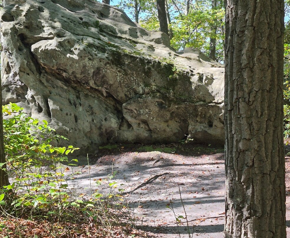 Coopers Rock State Forest-Bruceton Mills必去景点