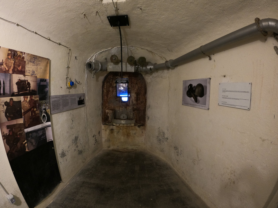 Bunker Museum-多比亚科必去景点