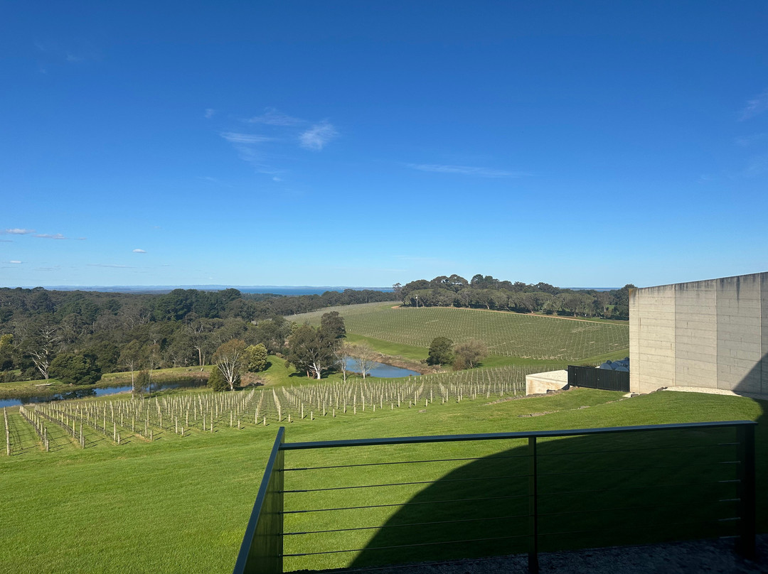 Amour of the Grape Tours-Rosebud必去景点