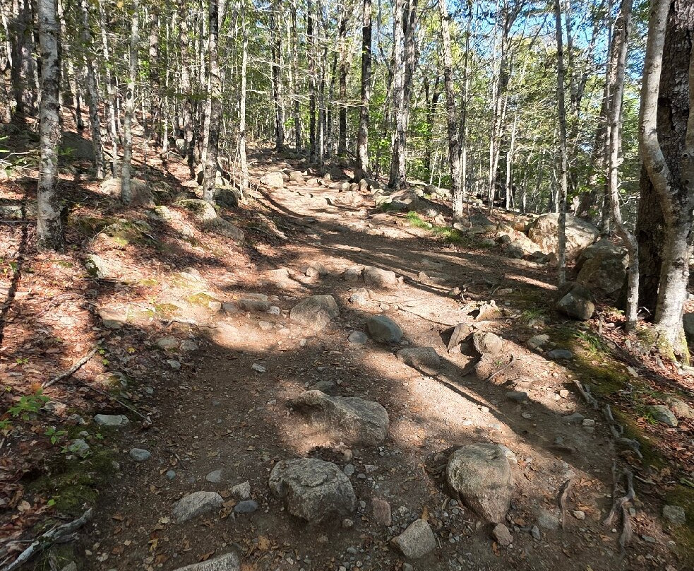 Camel's Hump-蒙彼利埃必去景点