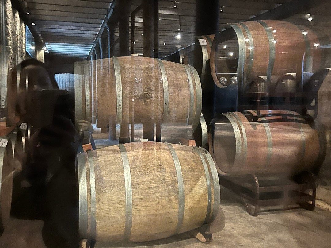 Bodega Spinoglio-蒙得维的亚必去景点