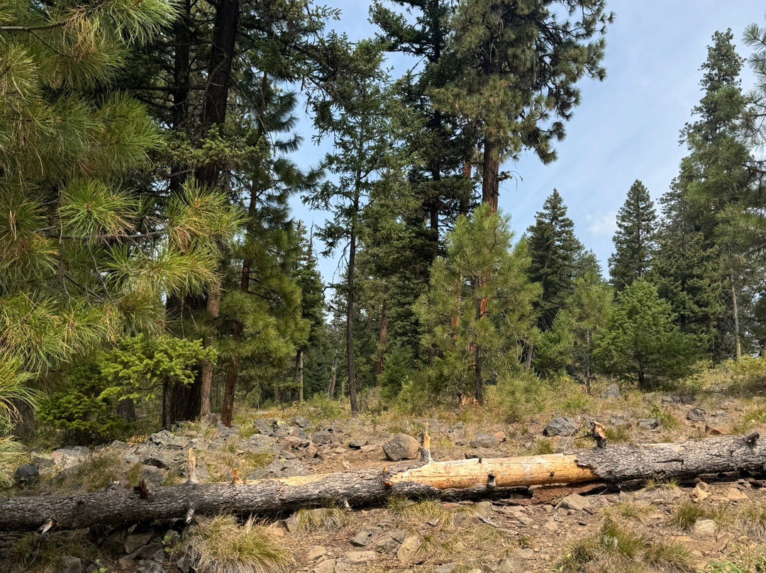 Ponderosa State Park-McCall必去景点