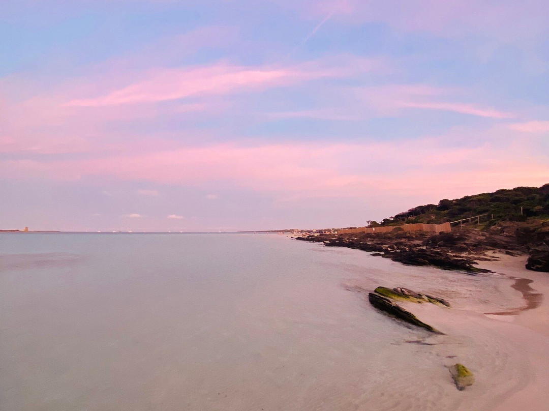 Spiaggia della Pelosetta-斯廷蒂诺必去景点