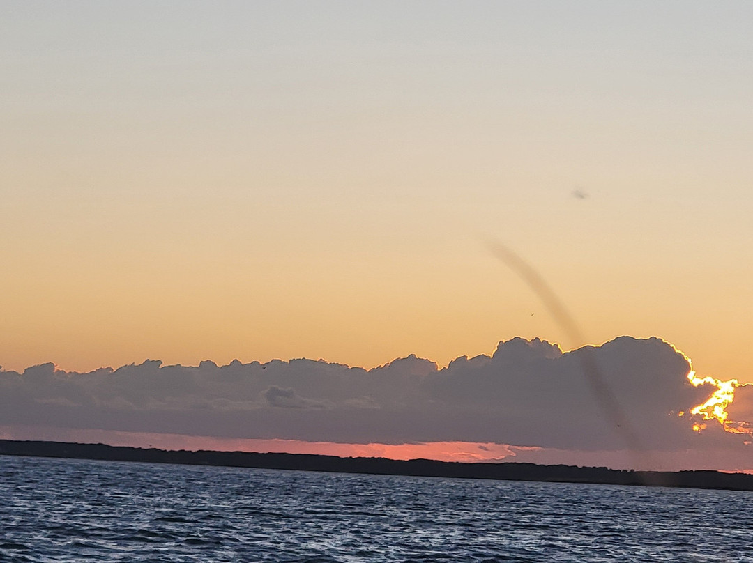 Barnacle Bill's Wild Pony Boat Tours-钦科蒂格岛必去景点