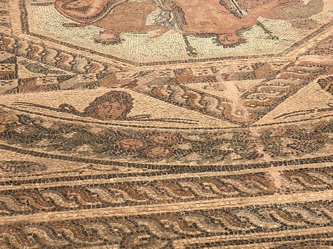 Archaeological Museum of Chania-干尼亚必去景点