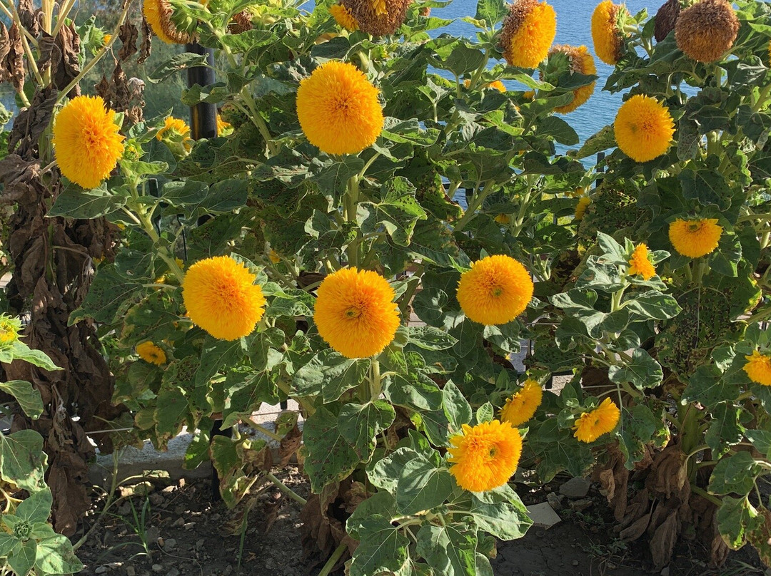 Hotel & Village Hydra Club主图