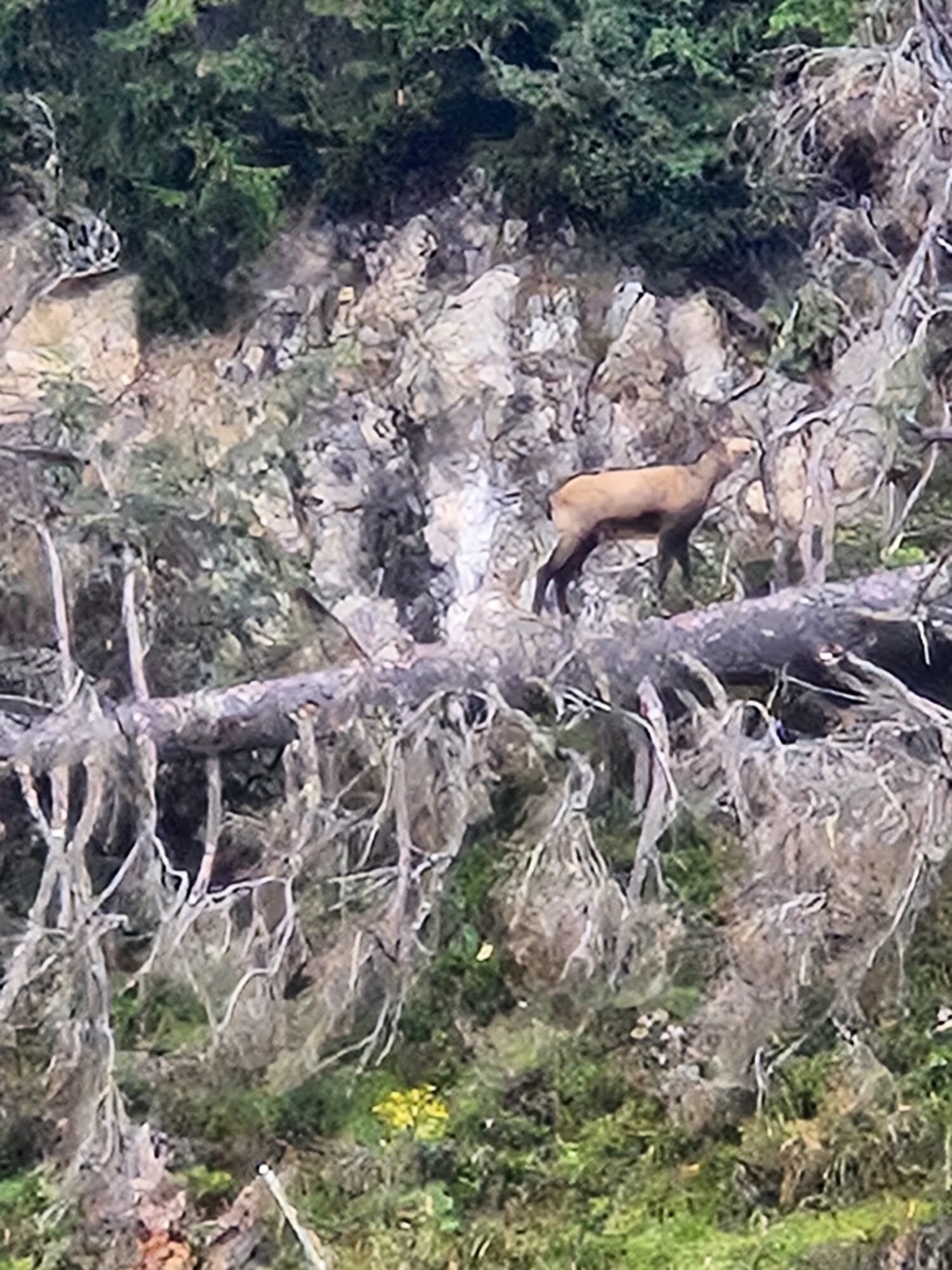 Hotel Alphof Alpbach-官方