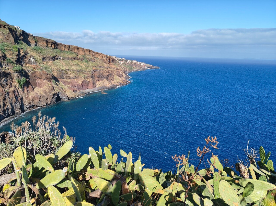 Vida Atlantica-马德拉群岛必去景点