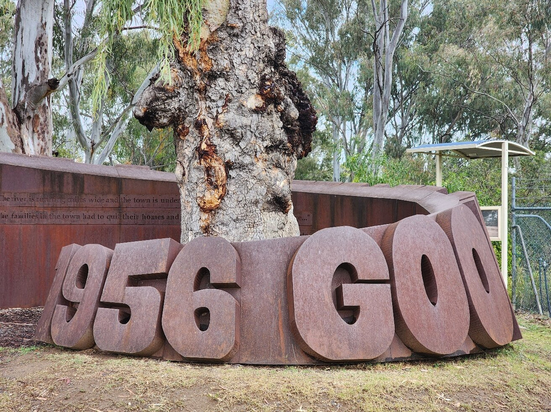 Macintyre Riverwalk-Goondiwindi必去景点