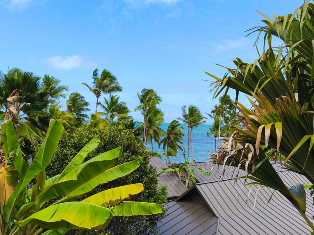 可可海酒店和黑鹦鹉套房酒店主图