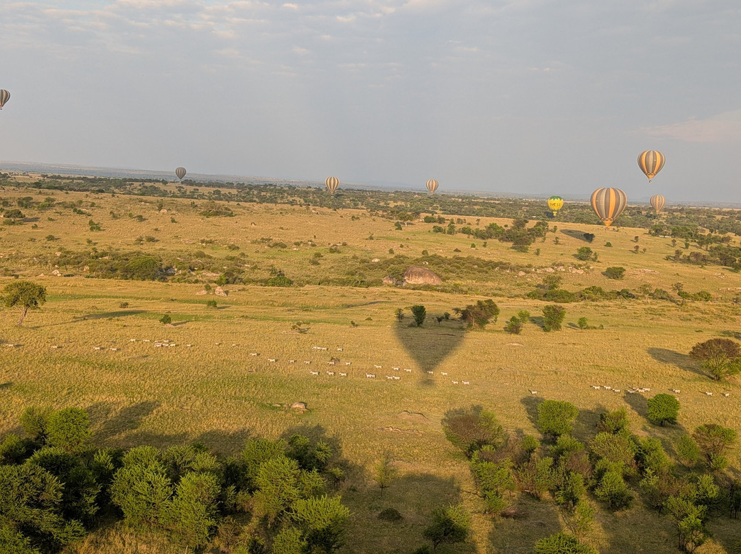 Adventures Aloft Balloon Safari Tanzania-Ikoma必去景点
