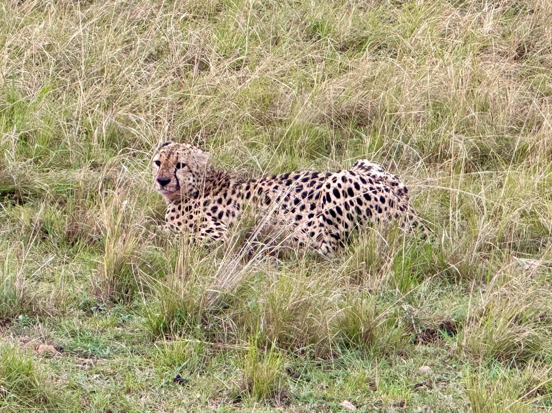 Adventure Out Loud-Kandanga必去景点