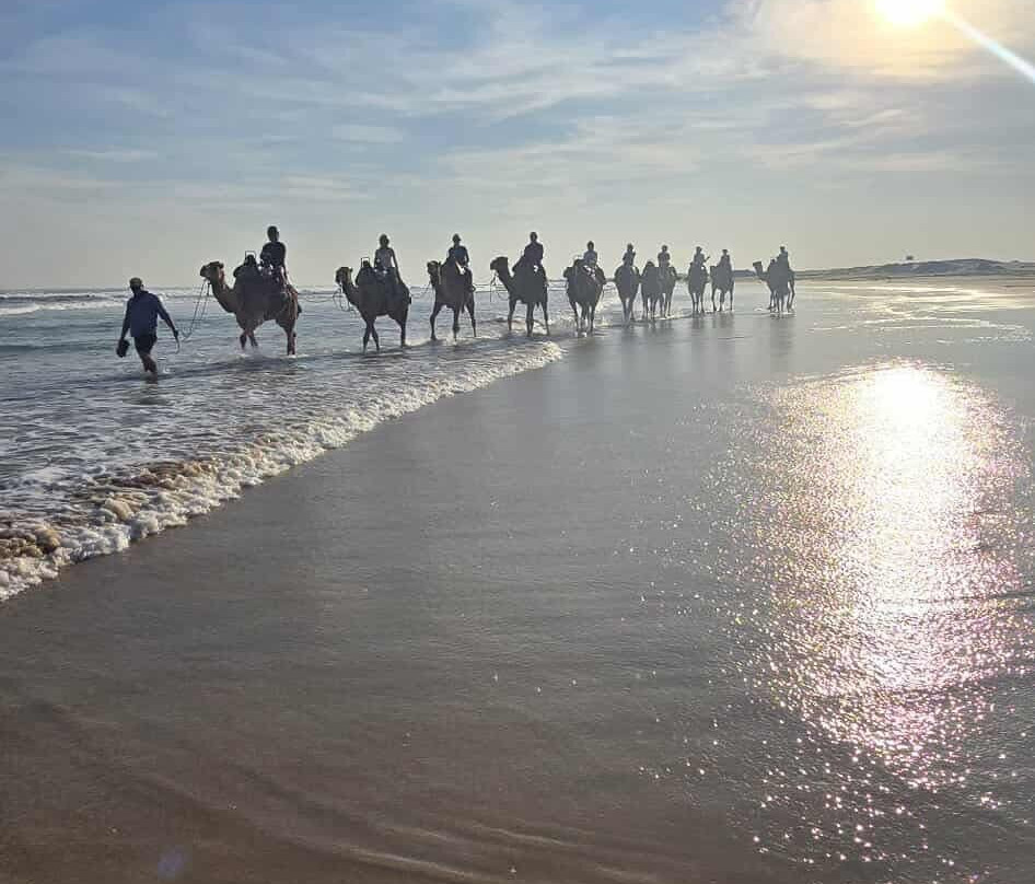 Oakfield Ranch-安娜湾必去景点