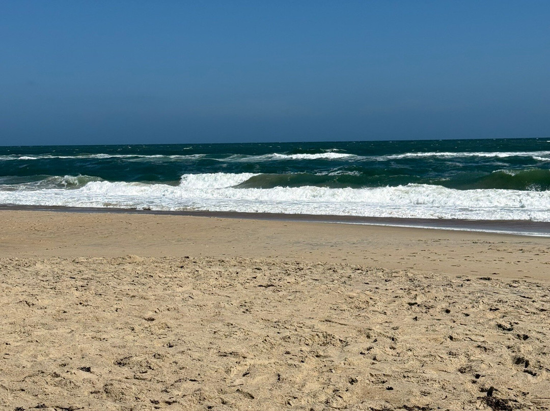 Farmdog Beach Services-纳格斯海德必去景点