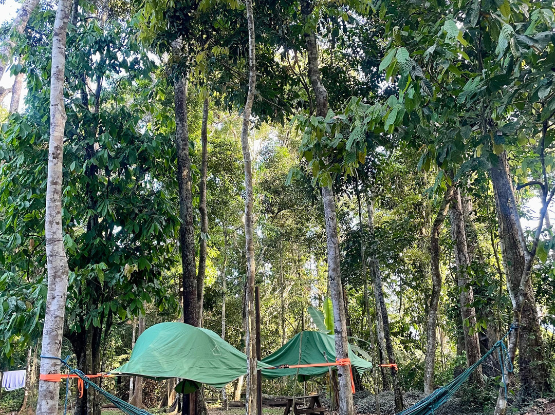 Yuruma Journeys-Rurrenabaque必去景点